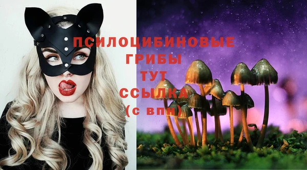 мяу мяу мука Заволжск