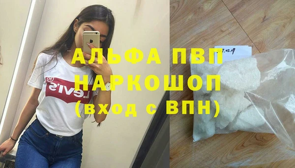 PSILOCYBIN Заволжье